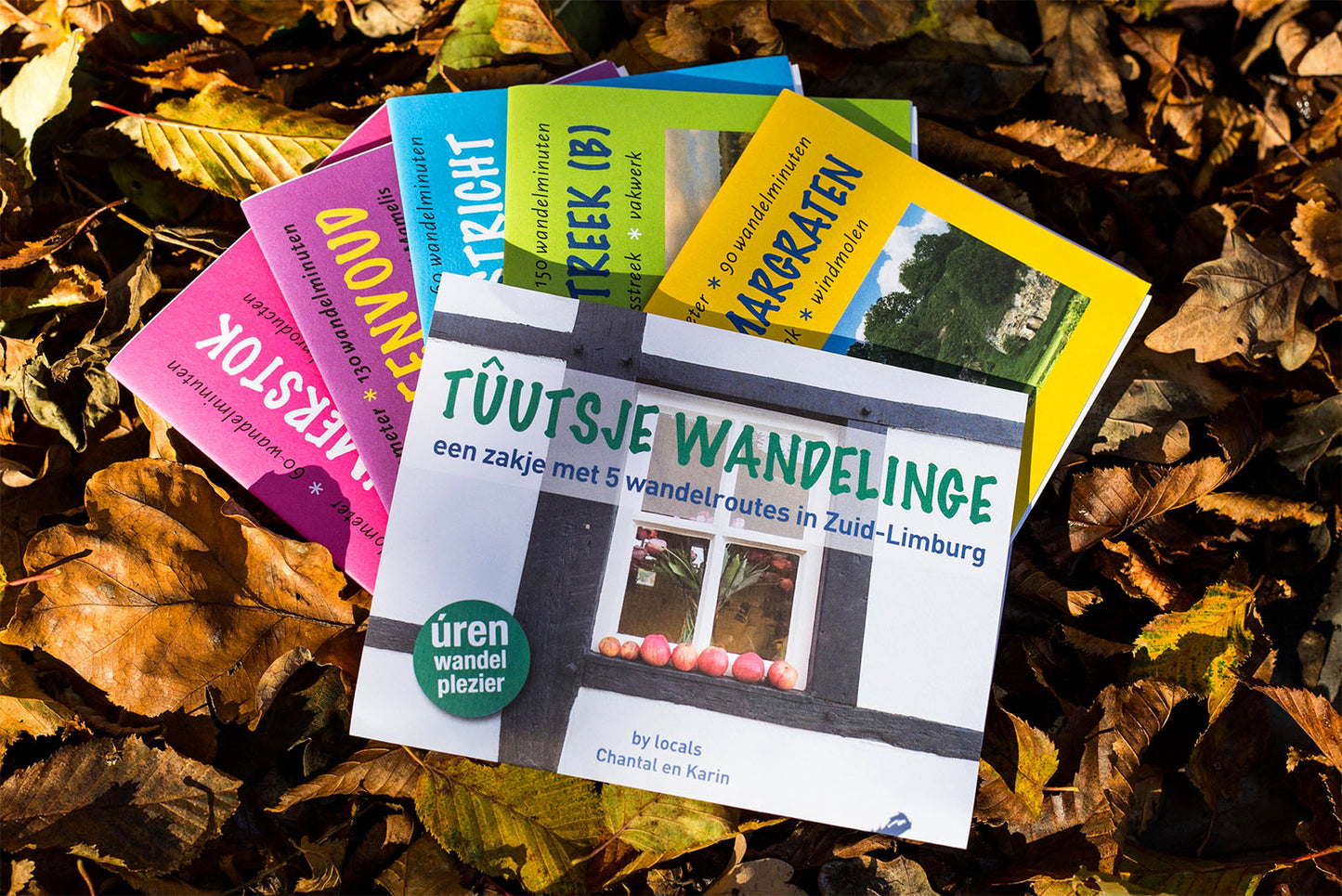 Een Tûutsje Wandelinge - 5 uitvouwbare wandelroutes met omgevingsinformatie